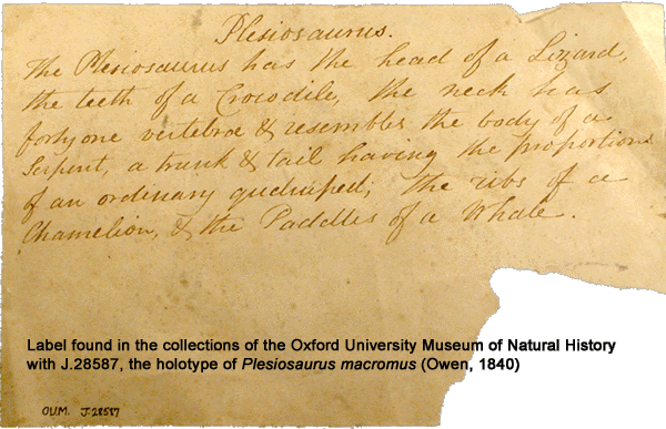 label found in Oxford University Museum